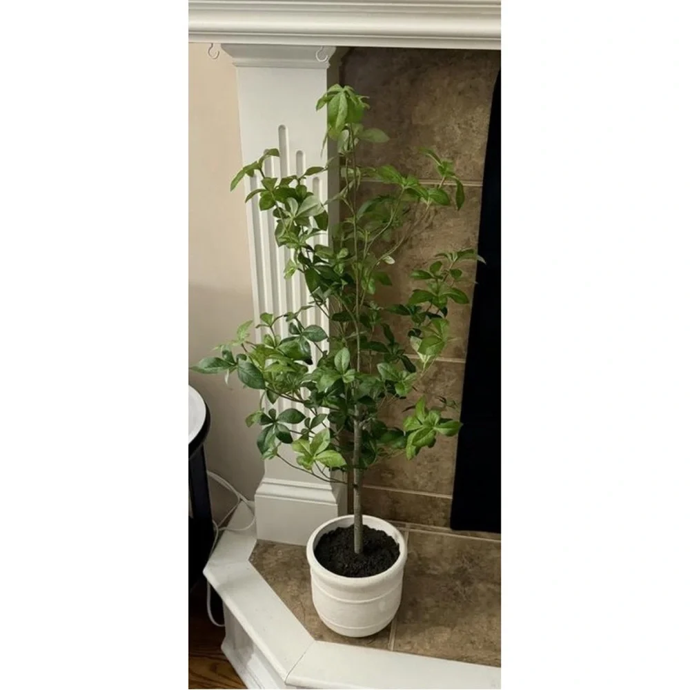 Hearth & Hand Magnolia 33